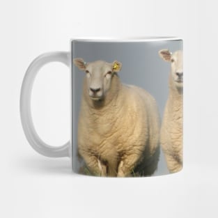 Curious Lleyn Sheep Mug